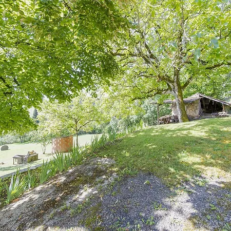 Tranquil In With Pool